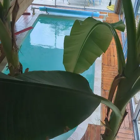 Villa Wooden House With Indoor Pool *